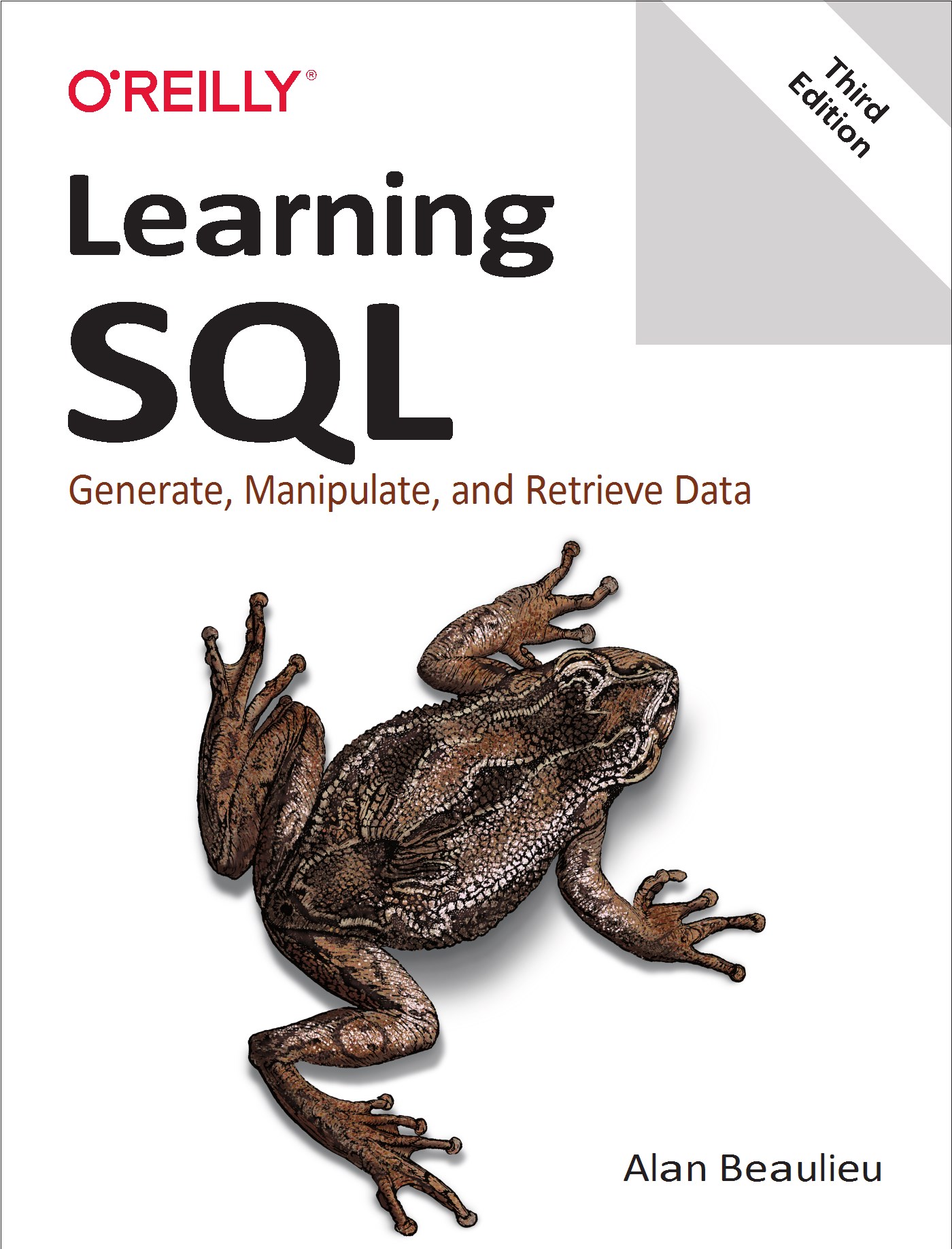 Learning SQL Generate, Manipulate, and Retrieve Data